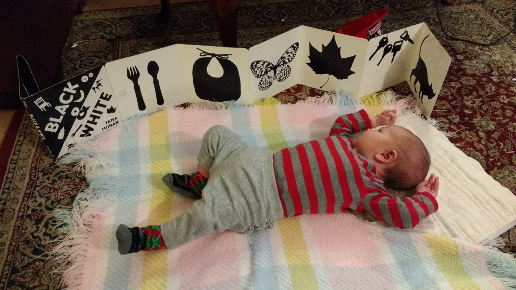 An infant looks at a black and white picture book