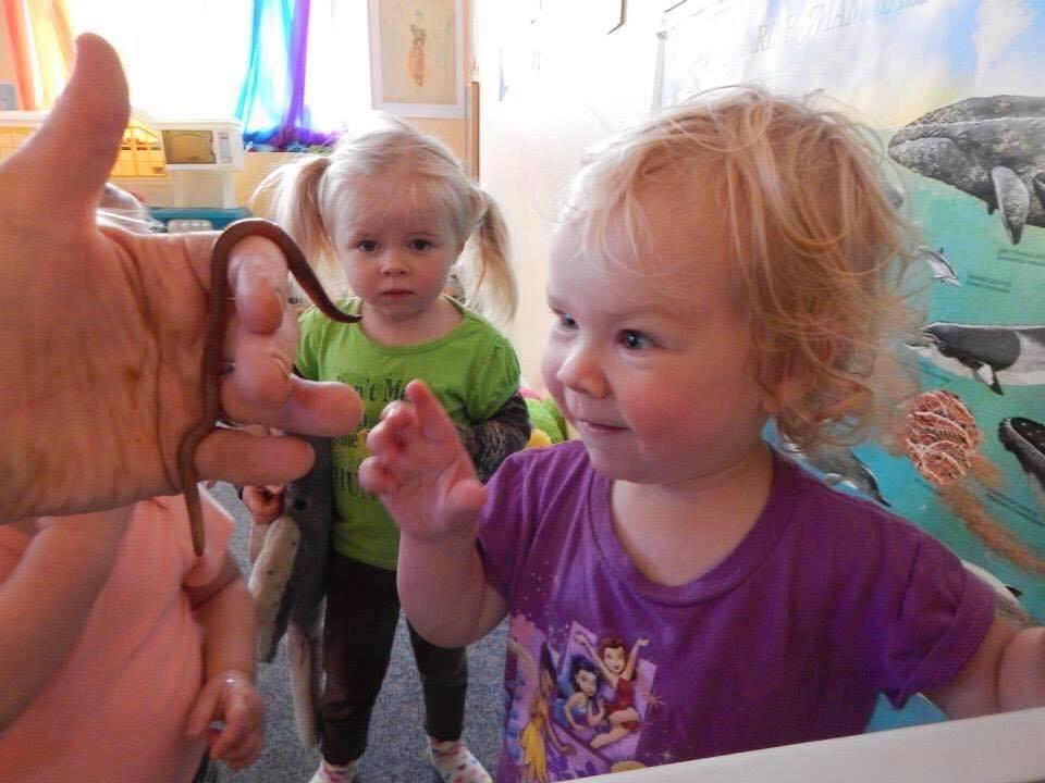 An adult shows two toddlers earthworms