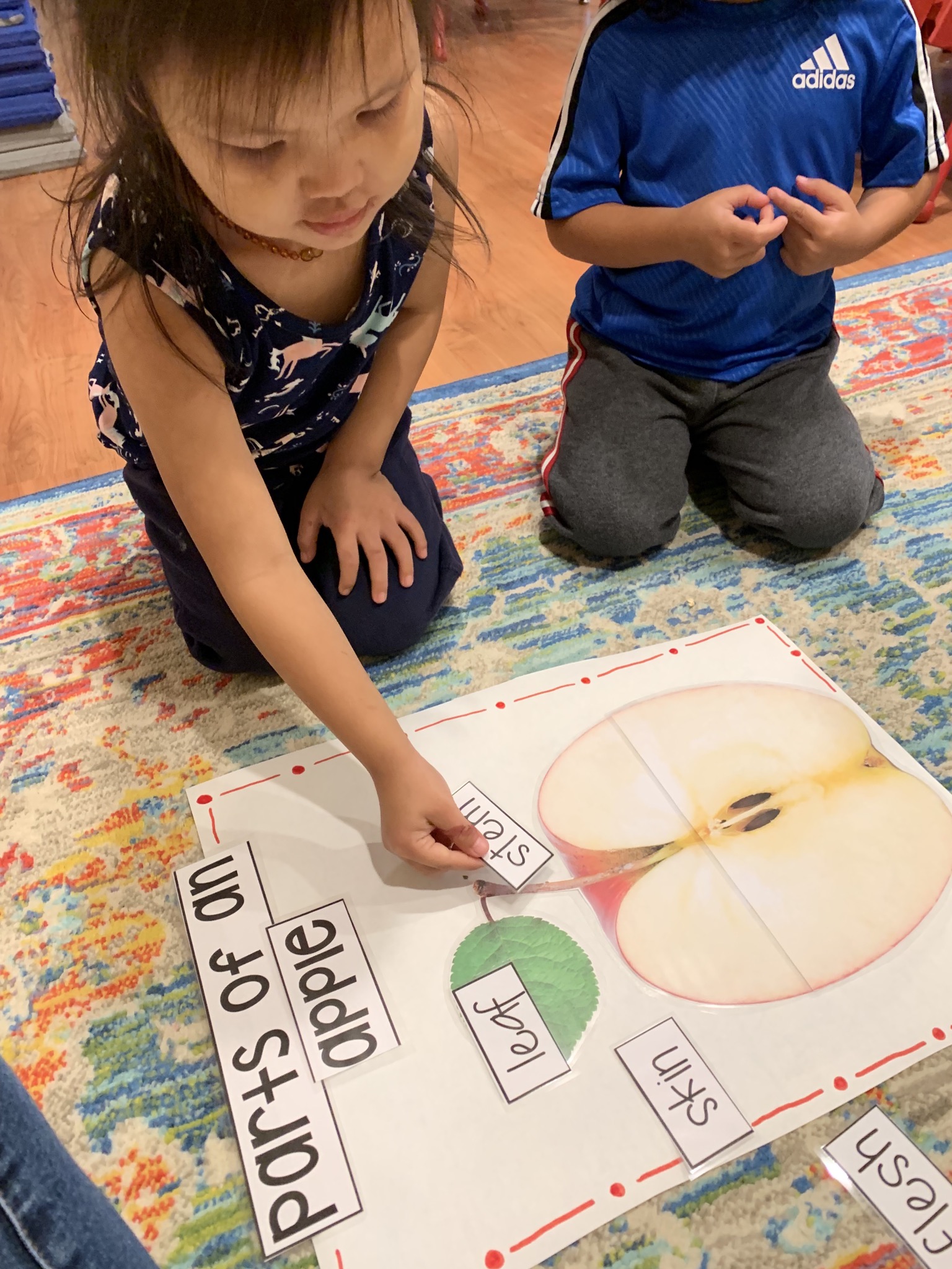 Children match words with parts of an apple